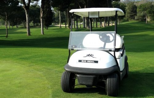 Buggy 50x